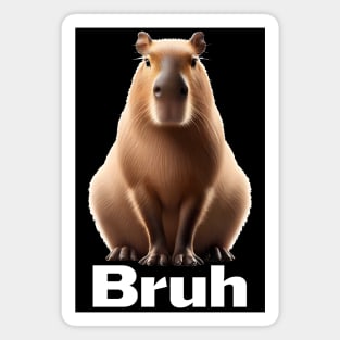 Funny Capybara Bruh trendy meme design Magnet